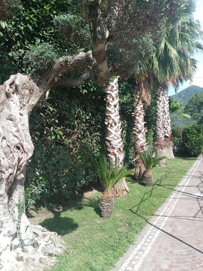 Villa Agata Forchia Kültér fotó