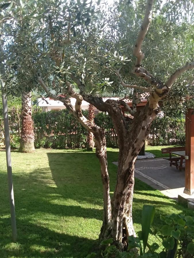 Villa Agata Forchia Kültér fotó